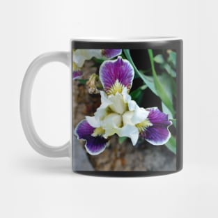 Bearded Iris Mug